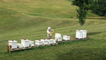 Battle Creek Honey Bees, LLC