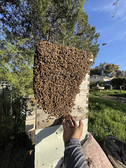 Endurance beekeeping