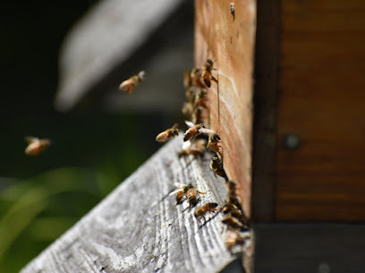 Hall Apiaries