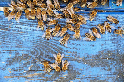 Little Giant Beekeepers & Bee Removal Specialists