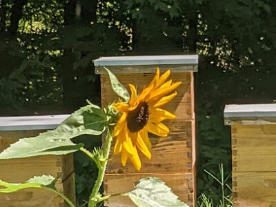 The Woodshed Honey Shack