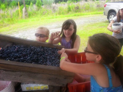 Cowart Ranch and Farms
