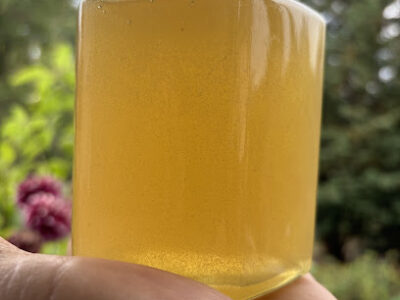 Camas Meadow Honey