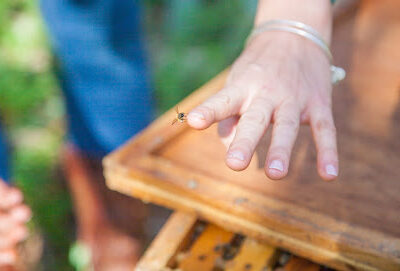 Two Hives Honey
