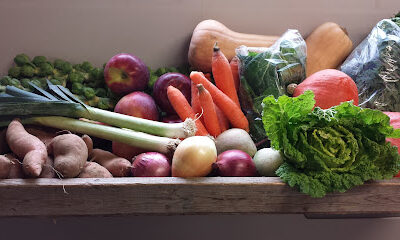 Heron Pond Farm