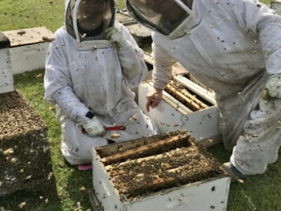 CNC Farms