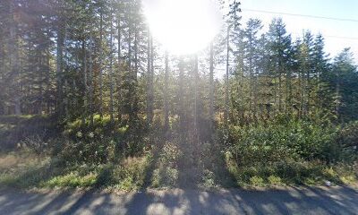 Olympic Wilderness Apiary