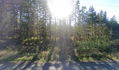 Olympic Wilderness Apiary