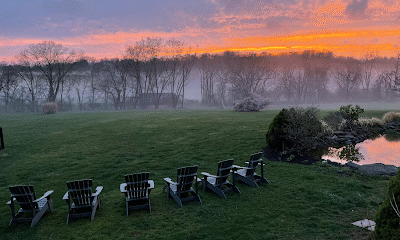 Double D Farm & Apiary