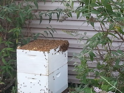 Dry Rock Apiary