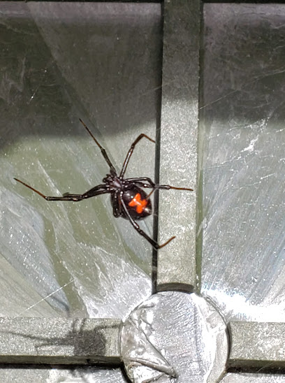 Gulf Coast Pest Control