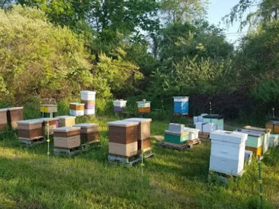 Honeybound Apiary