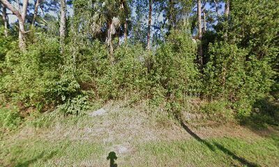 Florida Bees Hives