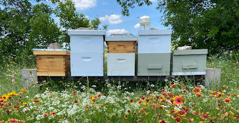 Mielke & Honey Bees