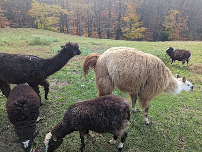 Taft Hill Farm