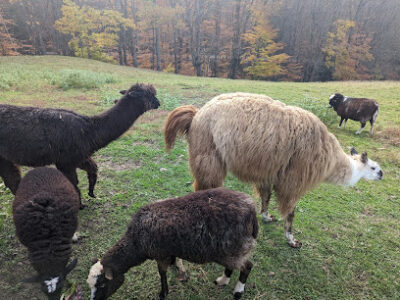 Taft Hill Farm