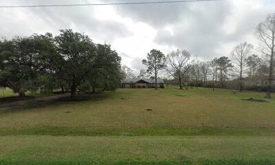 Mustang Bayou Bees
