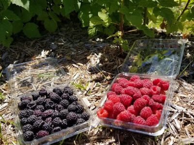 JK Orchard and Farm, LLC