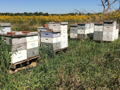 Honeyrun Farm
