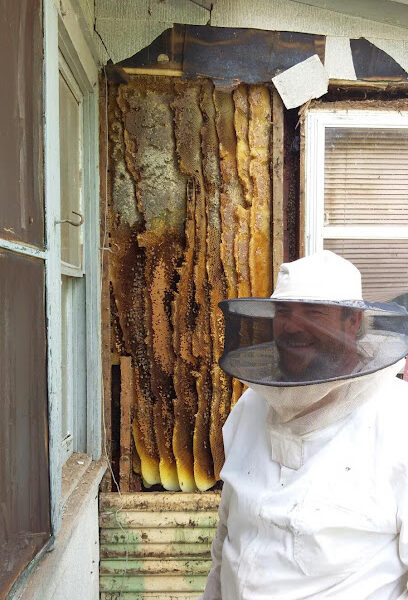 Thorn's Bee Service