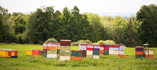 Swan's Honey