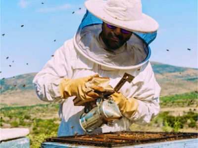 HIVE Food Co. | eathivehoney.com