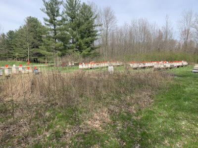 GM Bee Farm LLC