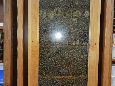 Rossman Apiaries Inc.