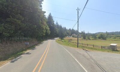 Oregon Mountain Wild Honey