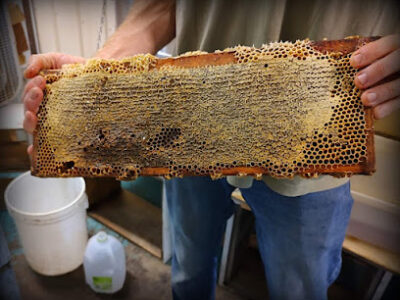 Johnston's Honeybee Farm