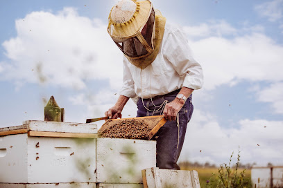 Adee Honey Farms