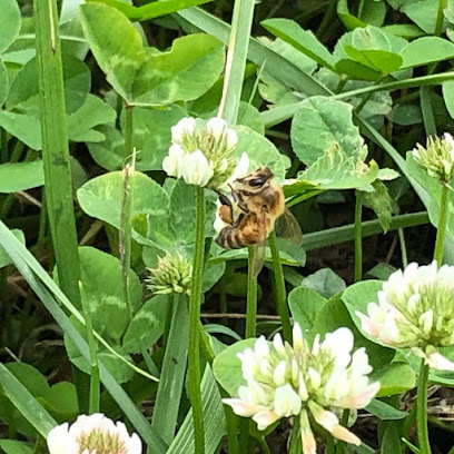 BeeWitched Honey Farm LLC