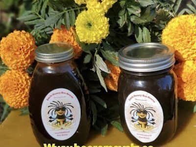 Amrit bee removal and rescue