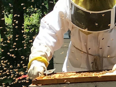 Birdsong Farm, LLC