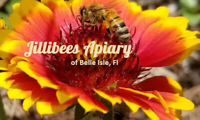 Jillibees Apiary