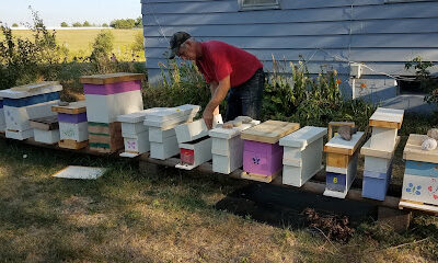 Lyon Bee Farm