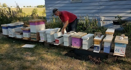 Lyon Bee Farm