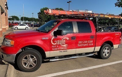 Gayle Pest and Termite Control