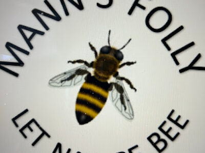 Mann's Folly