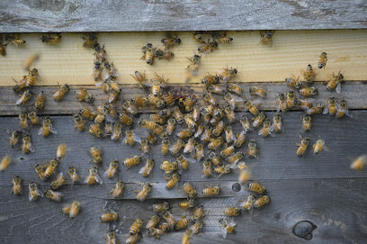 Crystal Bee Supply