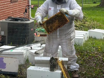 Bee Great