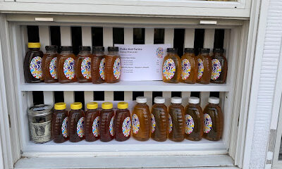 Polka Dot Farms Honey
