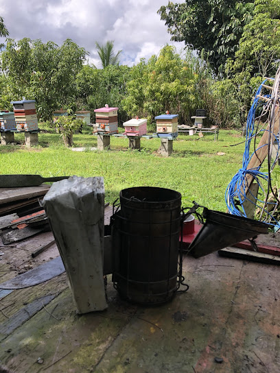 Julios’ Apiary – Find Local Honey