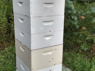 Domke Honey Farm