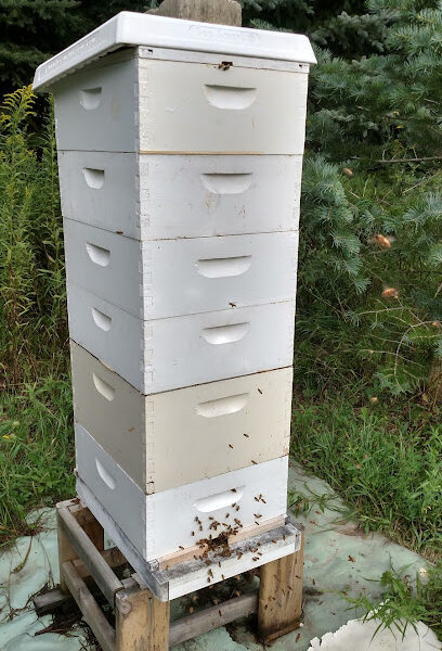 Domke Honey Farm