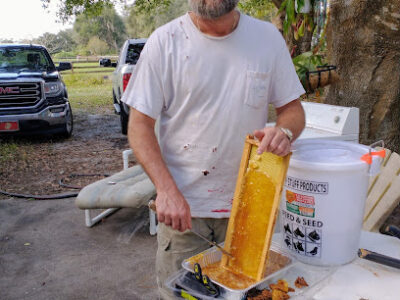 D & J Apiary Inc