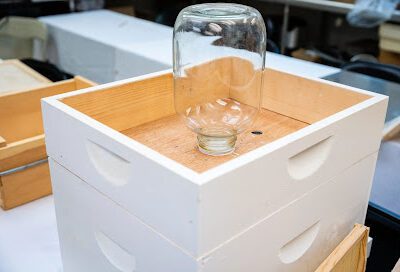 Lookout Mountain Honeybees