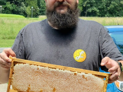 Doug's Backyard Bees