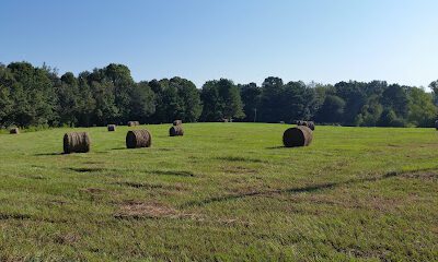 Tyler Farms and Ranch, LLC