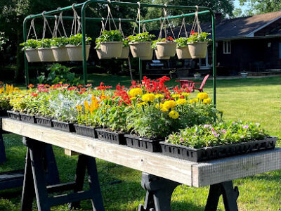 Fresh Ponds Farm